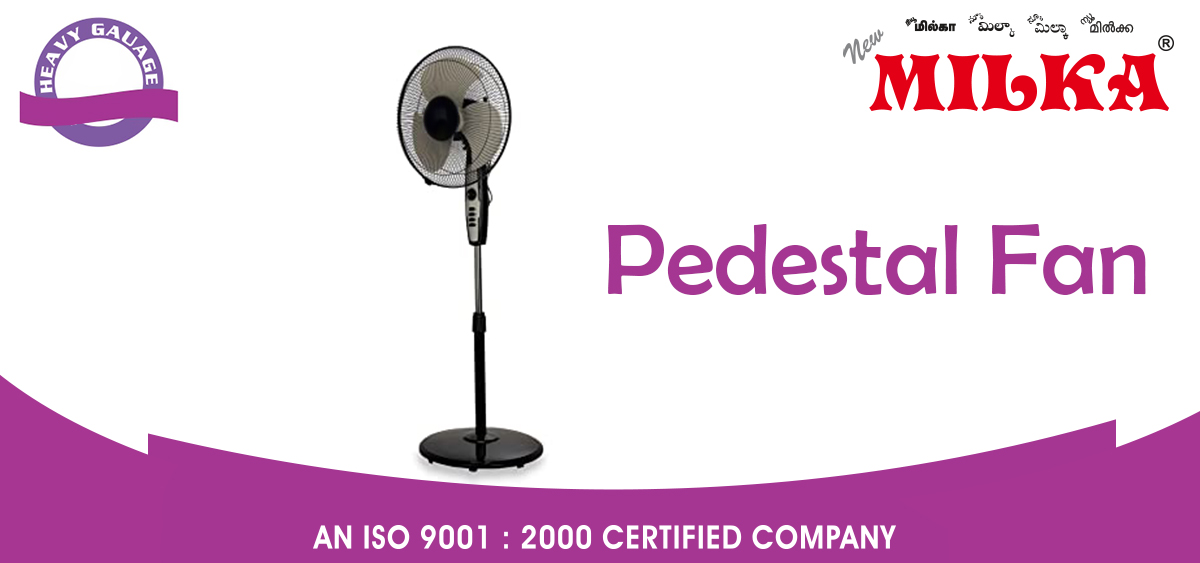 Pedestal Fan